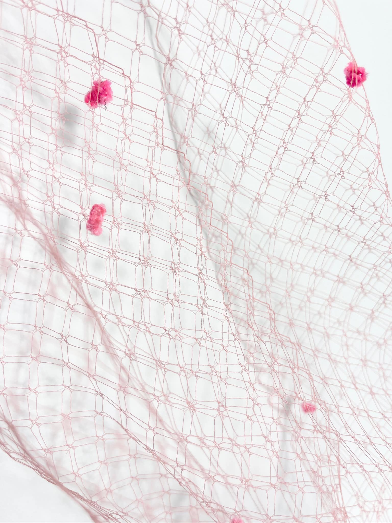 Veletta Rosa
