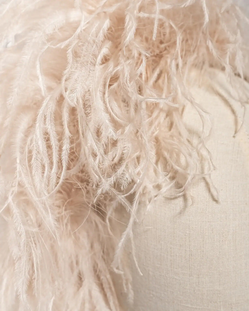 Cerchietto Piume Beige Chiaro