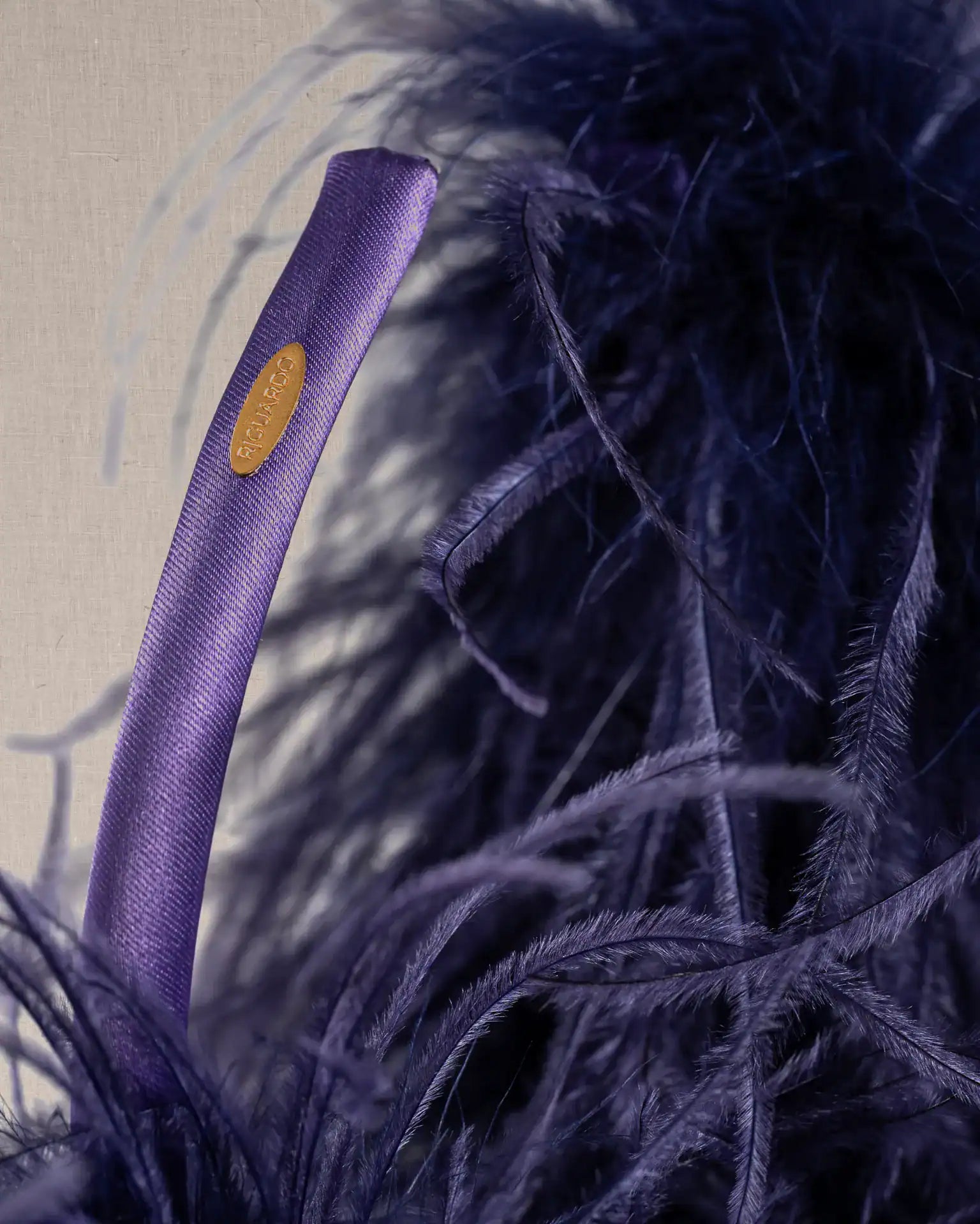 Cerchietto Piume Viola