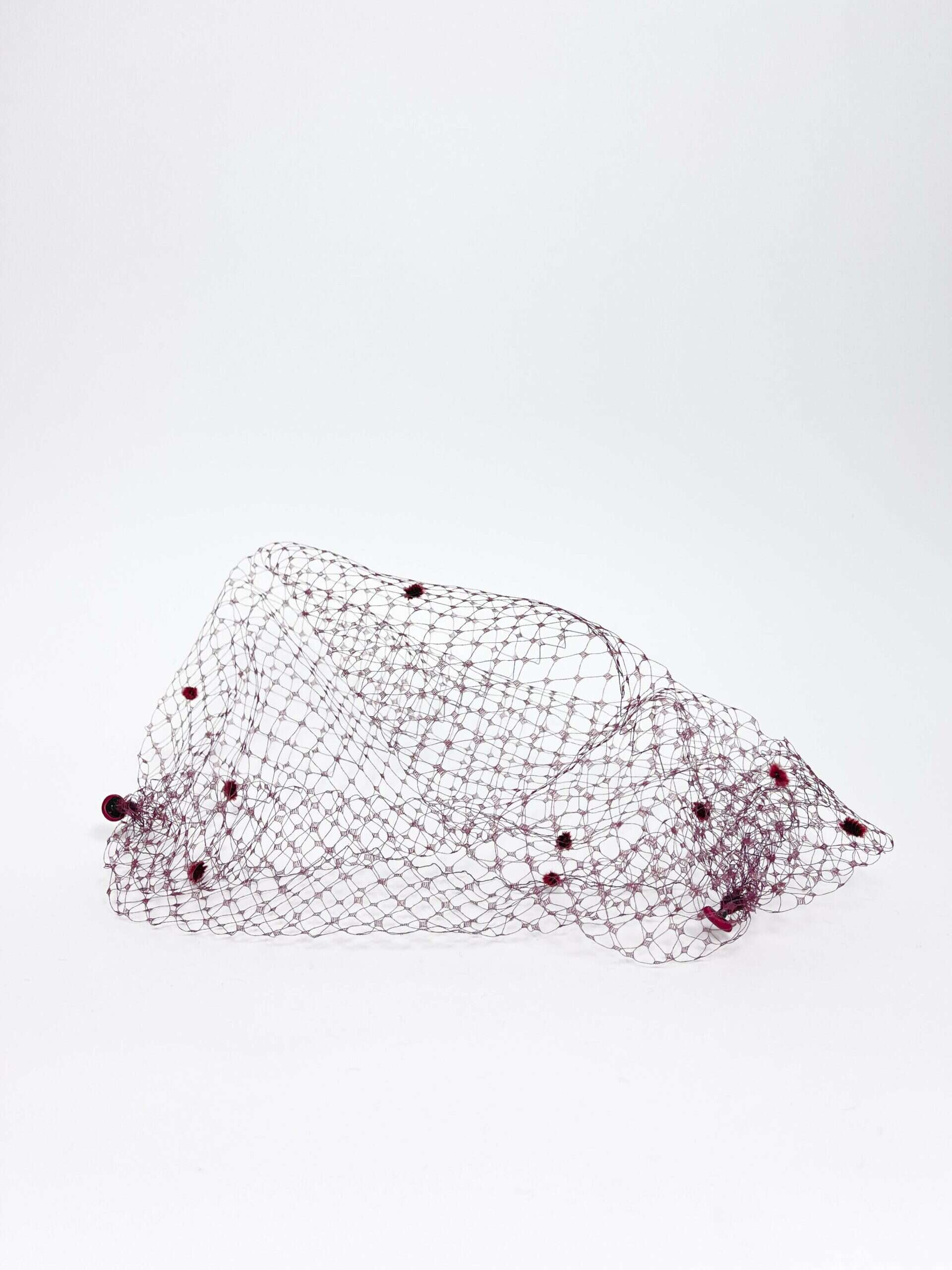 Veletta Bordeaux Plumetis